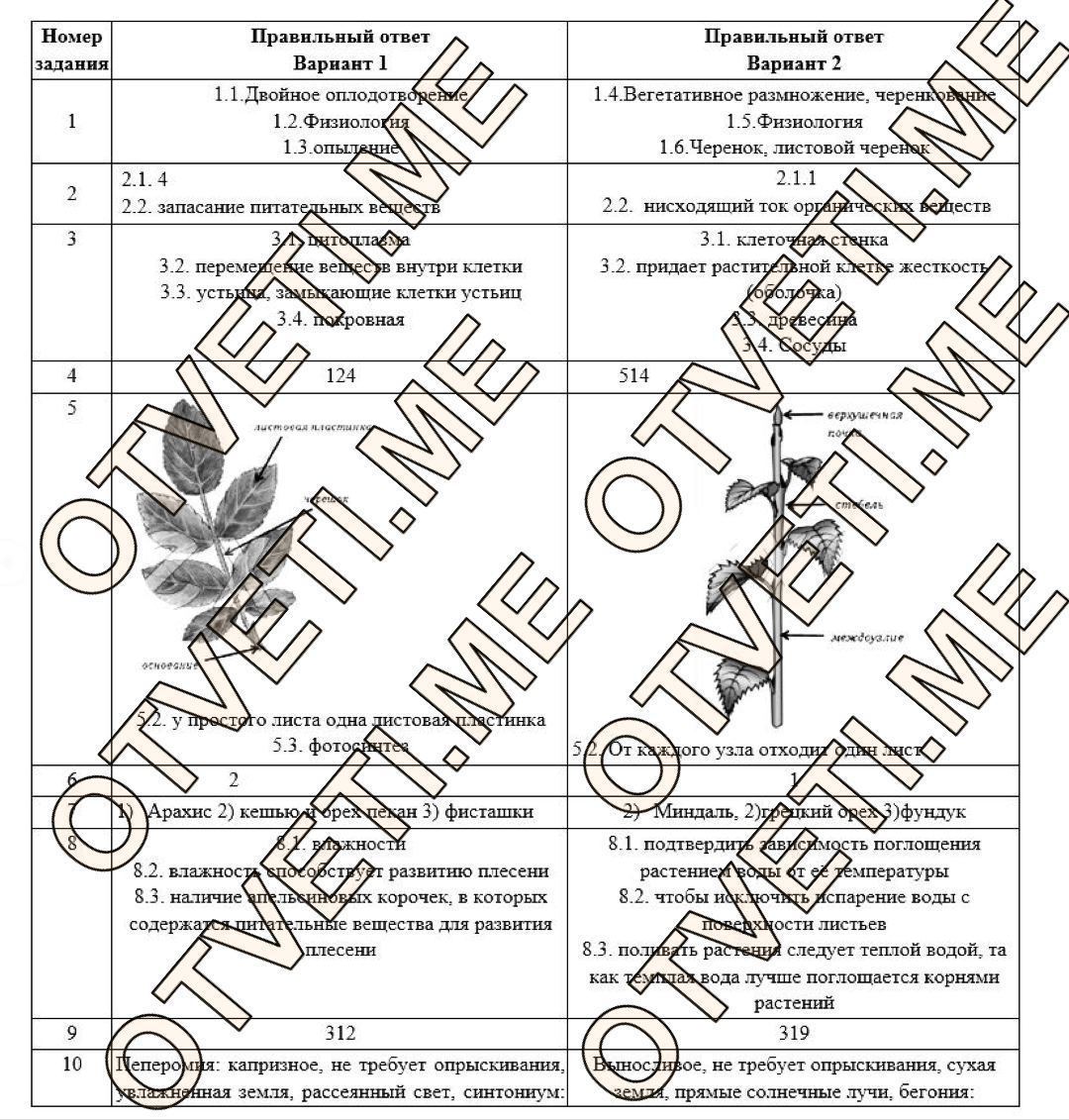 Здоровая Олимпиада | 3–9 апреля г