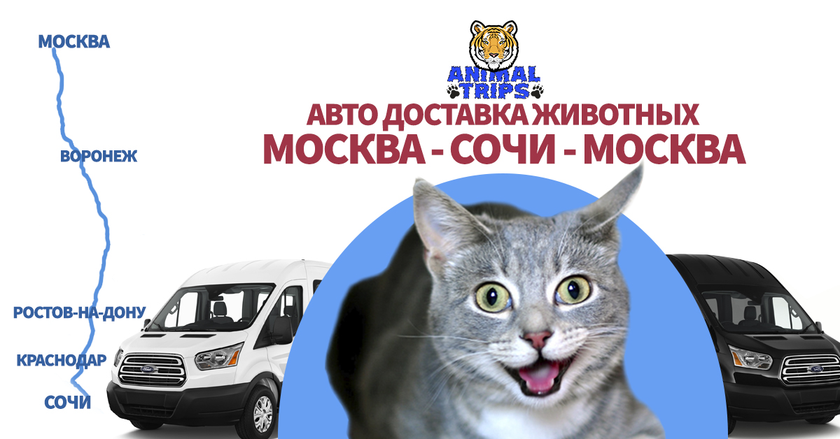 Доставка животных москва