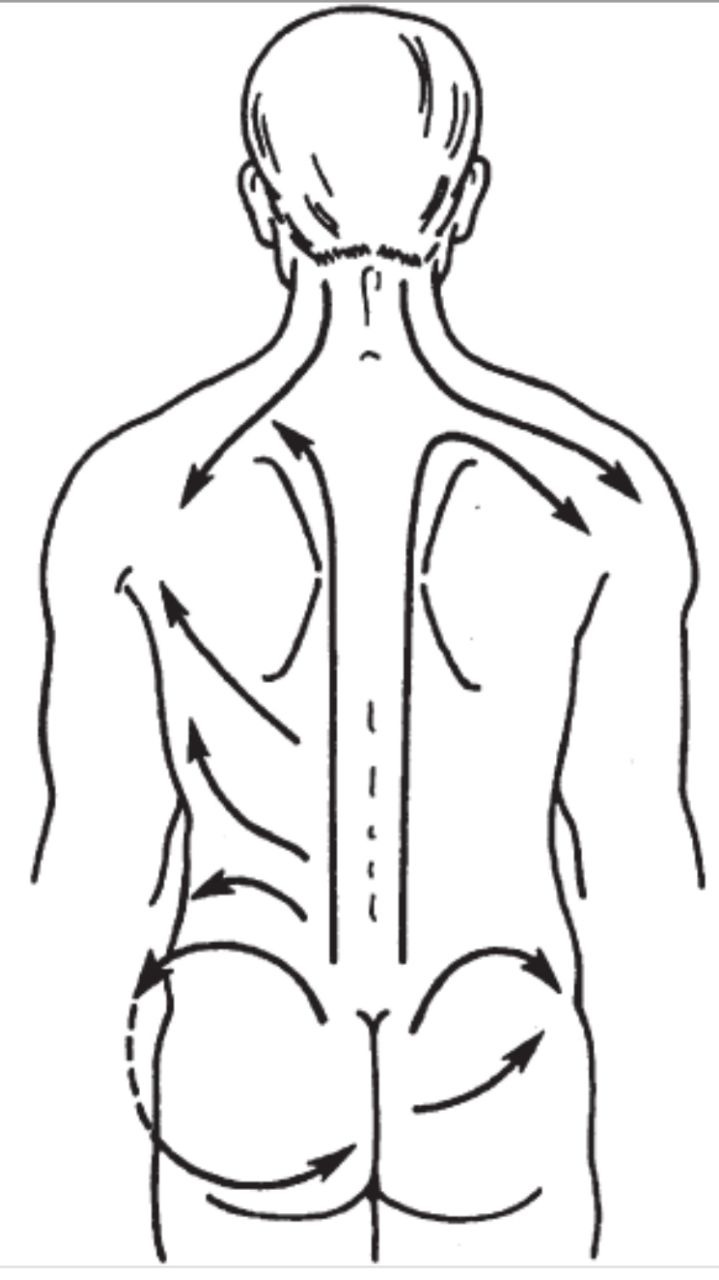 Спину и поясницу шею и. Массаж спины техника. Методика массажа спины. Массаж спины техника выполнения. Массаж спины направление движения.