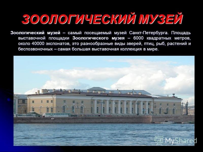 Сообщение о музее. Музеи Санкт-Петербурга доклад. Зоологический музей Санкт-Петербург презентация. Зоологический музей Санкт-Петербург описание кратко. Зоологический музей Санкт-Петербурге презентация 2 класс.