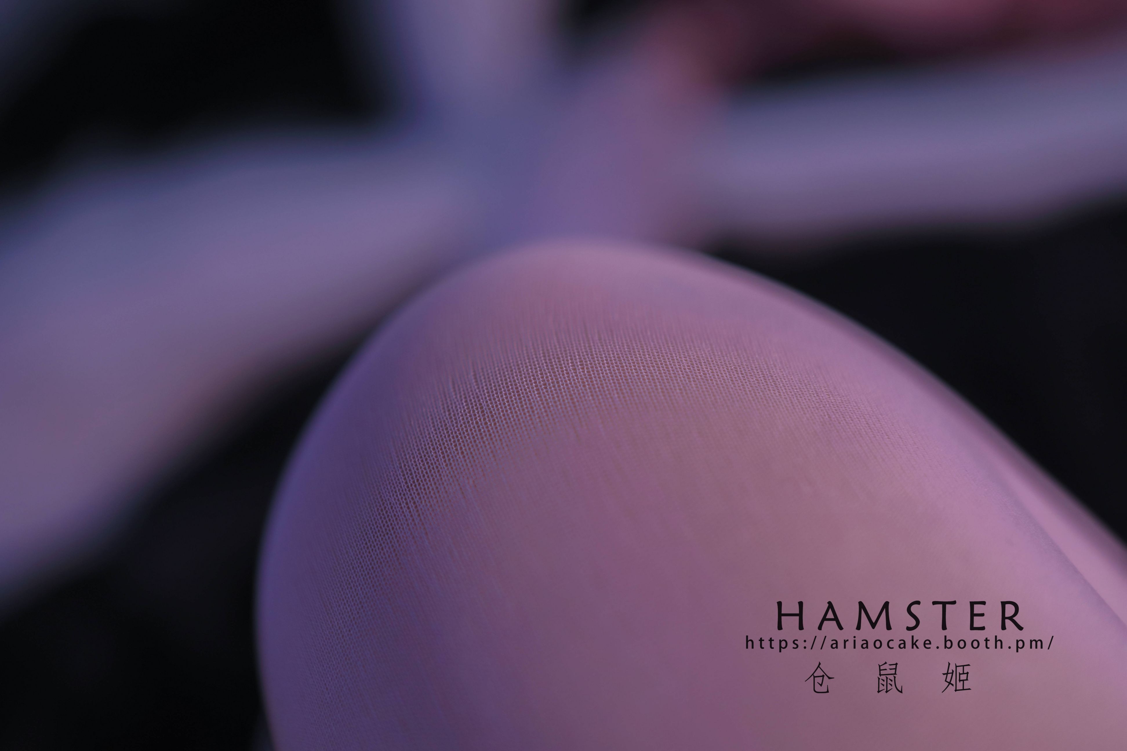 HAMSTERS 仓鼠姬 - NO.005 VOL.02 居家女友2 [34P-38MB] 17