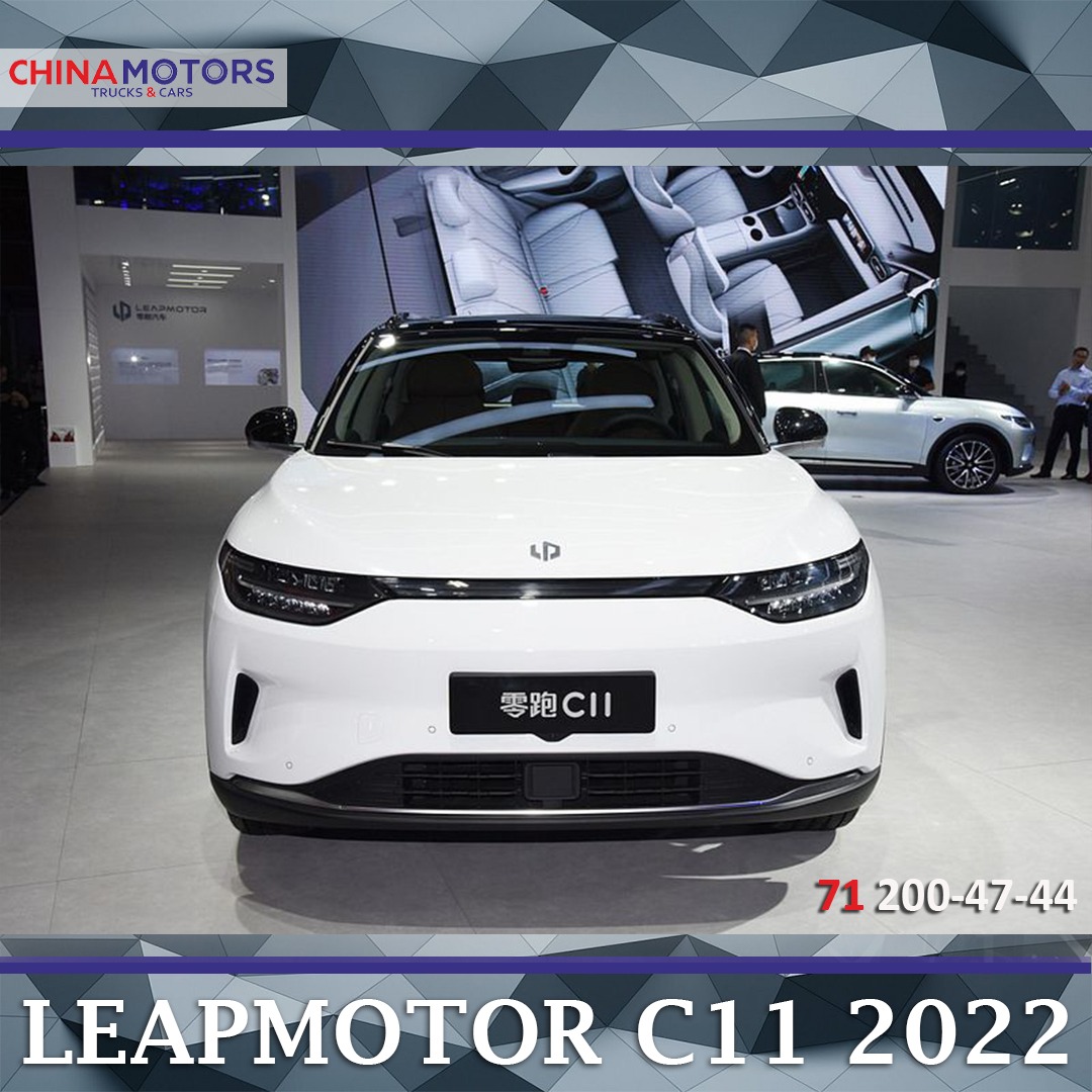 Leap motors c11