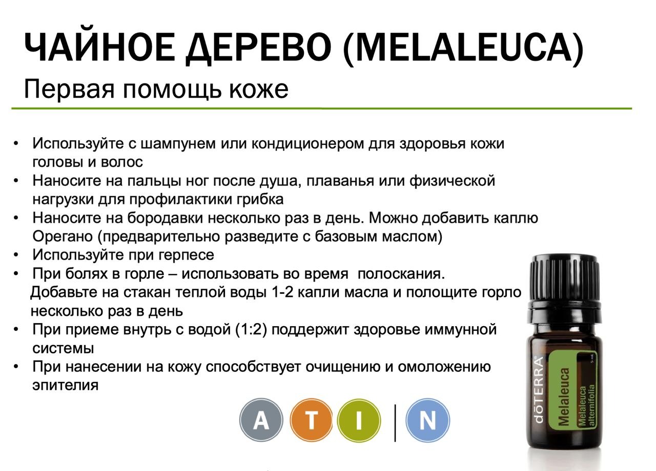 Зачем разводить. Масло чайного дерева ДОТЕРРА. DOTERRA чайное дерево. Чайное дерево эфирное масло DOTERRA. Чайное дерево ДОТЕРРА описание.