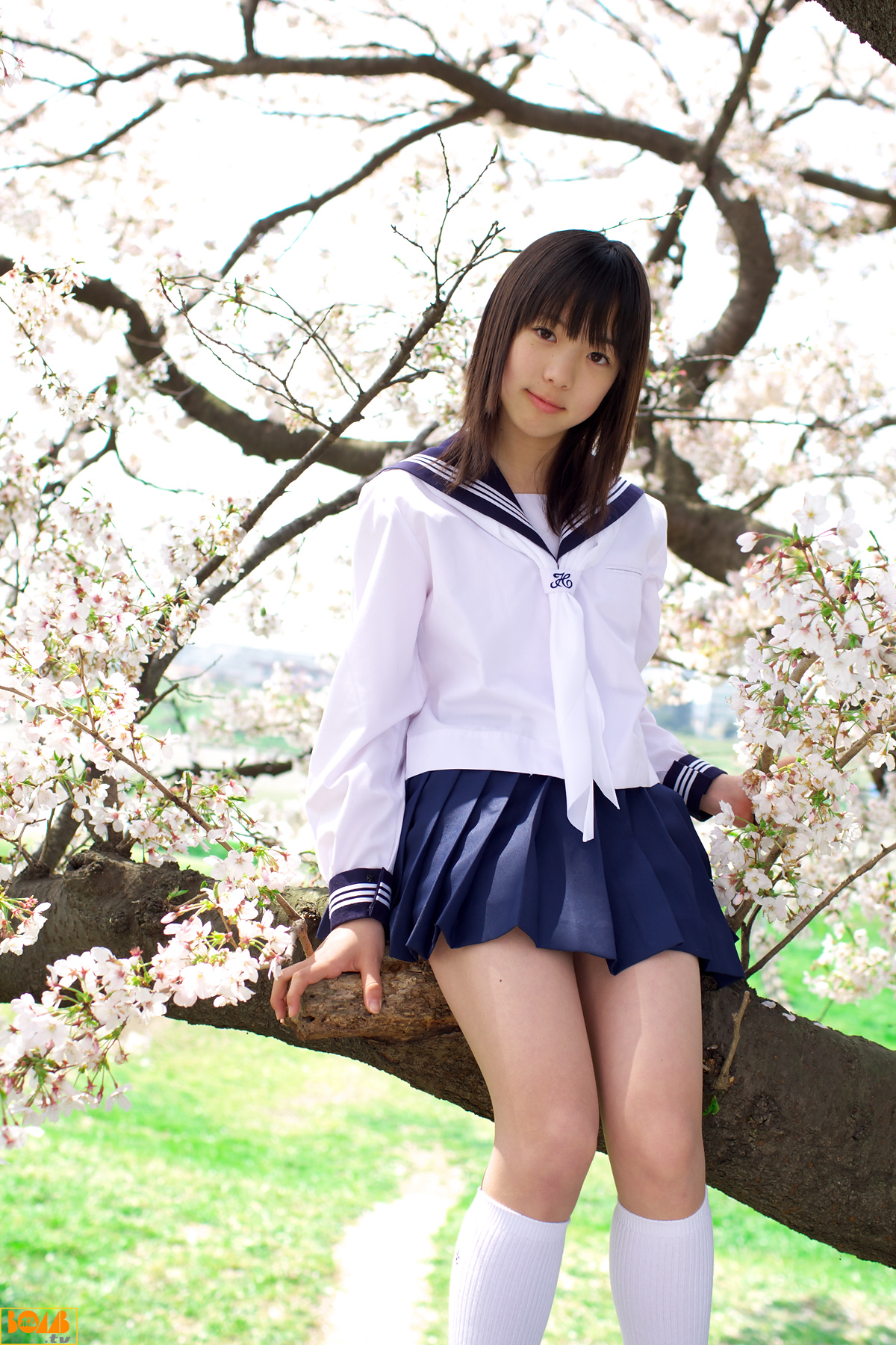 [Image: d7a53e2dd757112452a0c.jpg]