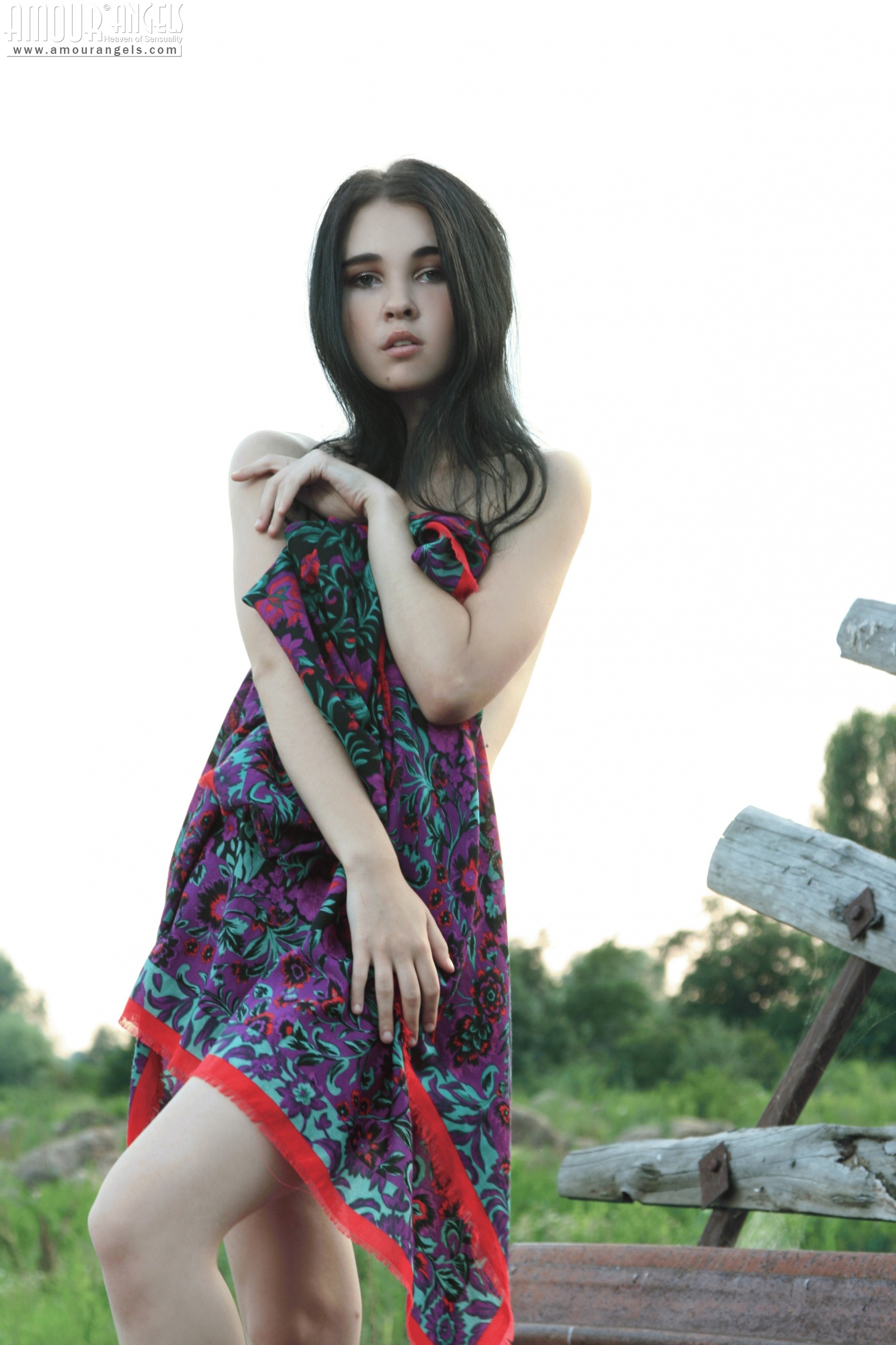 [Image: d80cec1e3b41930a35d41.jpg]