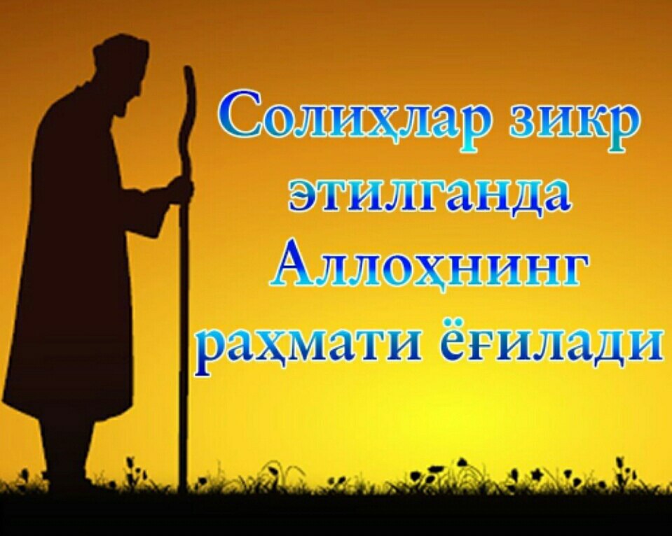 Панду насихат картинка