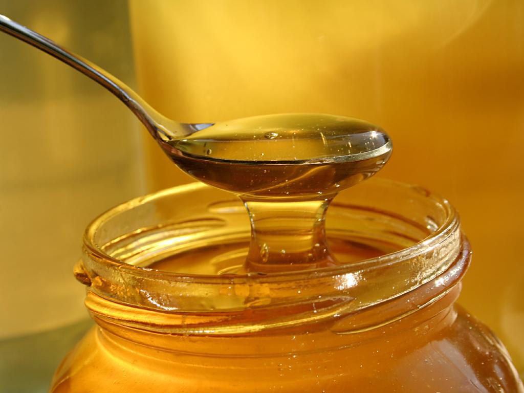 Производители оценили снижение производства меда из-за гибели пчел