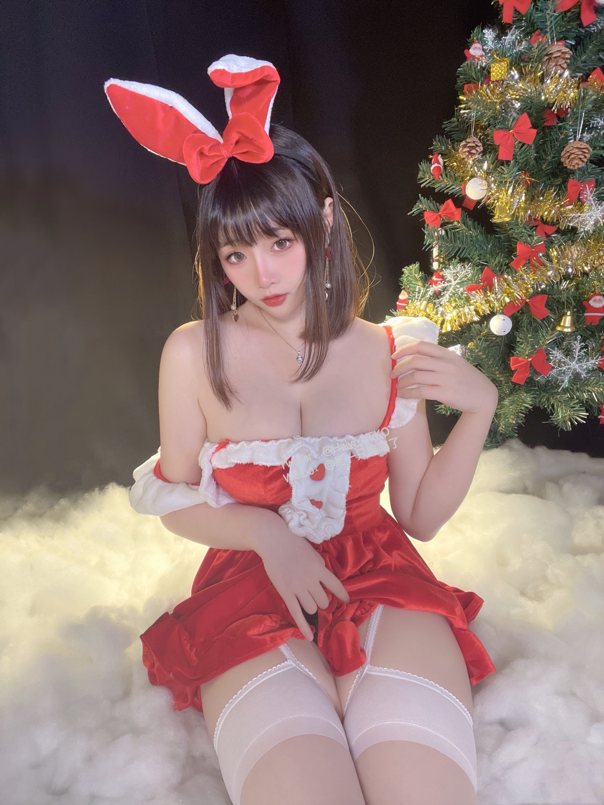一只废喵 圣诞比基尼+连衣裙 [72P3V-620MB] 6