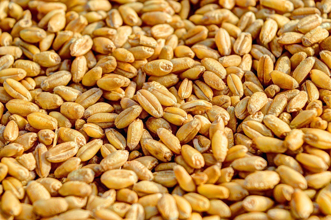 Эксперты отмечают «нетипичное» поведение цен на зерно