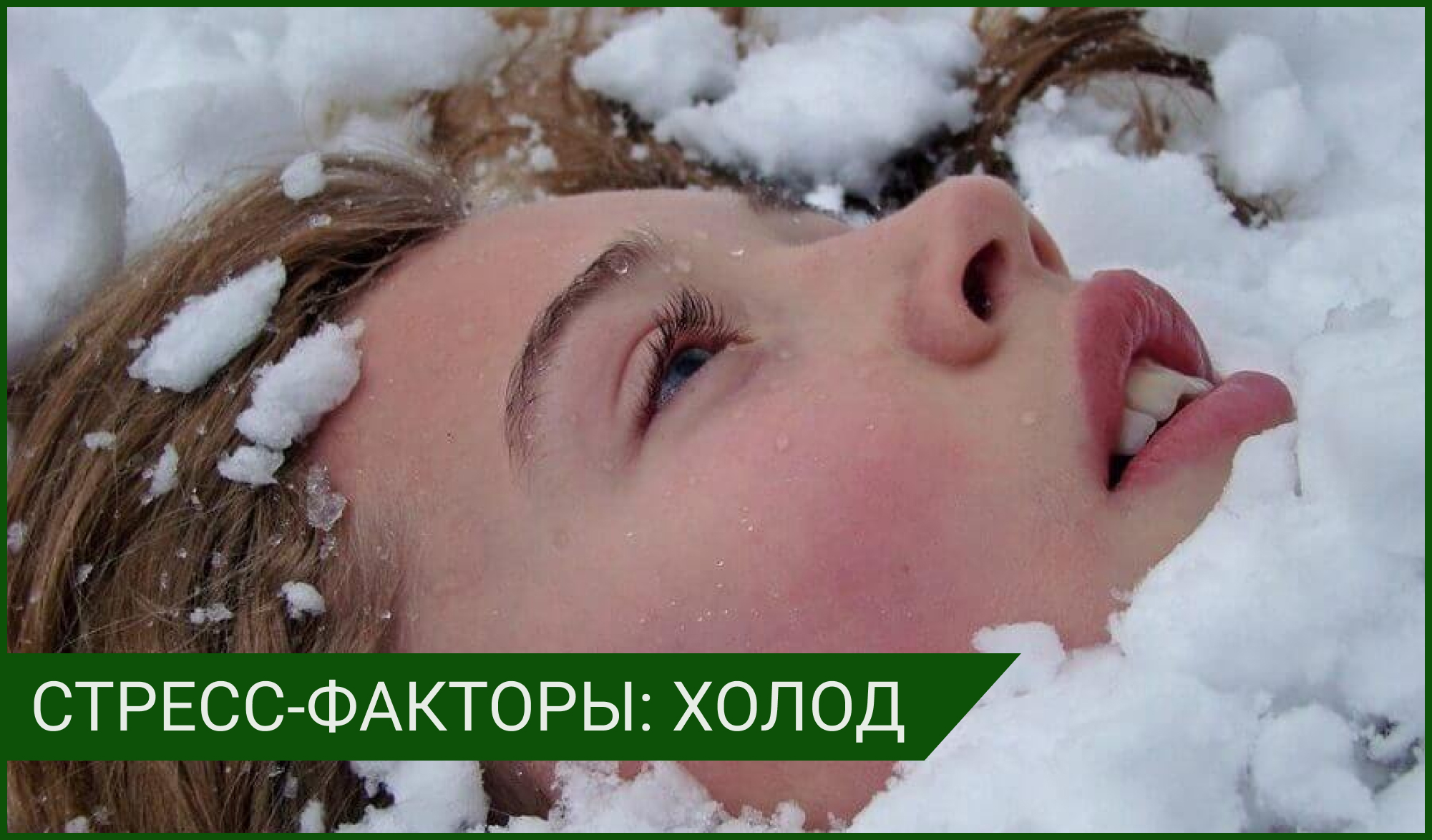К чему снятся замерзшие. К чему снятся замерзшие. Девушки валяются в снегу. К чему снится холодный человек. Девушка под снегом.