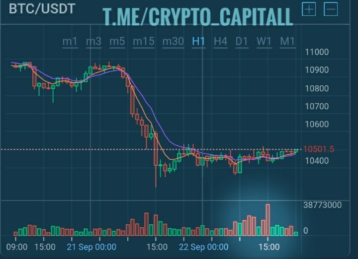 Btc view