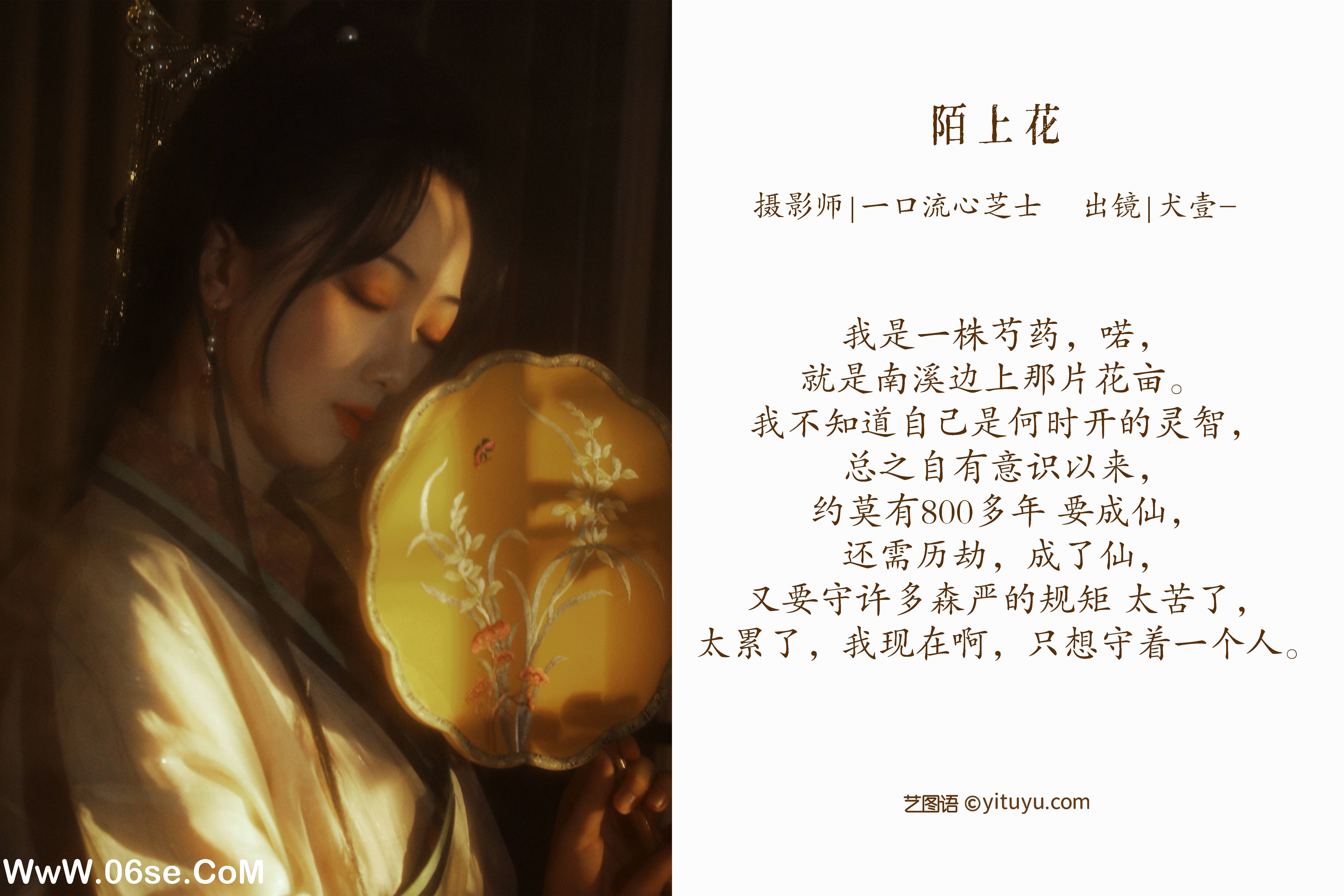 图片[2]-[YITUYU艺图语]2022.07.13 陌上花 犬壹-[29+1P／546MB]-六色网