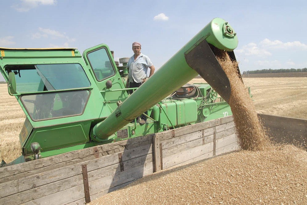 Минсельхоз ждет рост производства зерна в России к 2035 году до 140 млн тонн