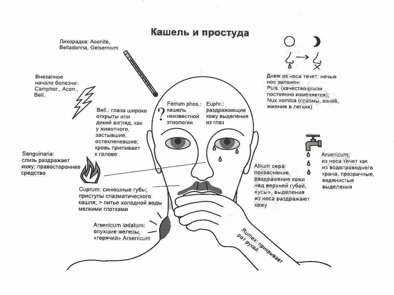 Реперторизируем кашель и простуду – Telegraph