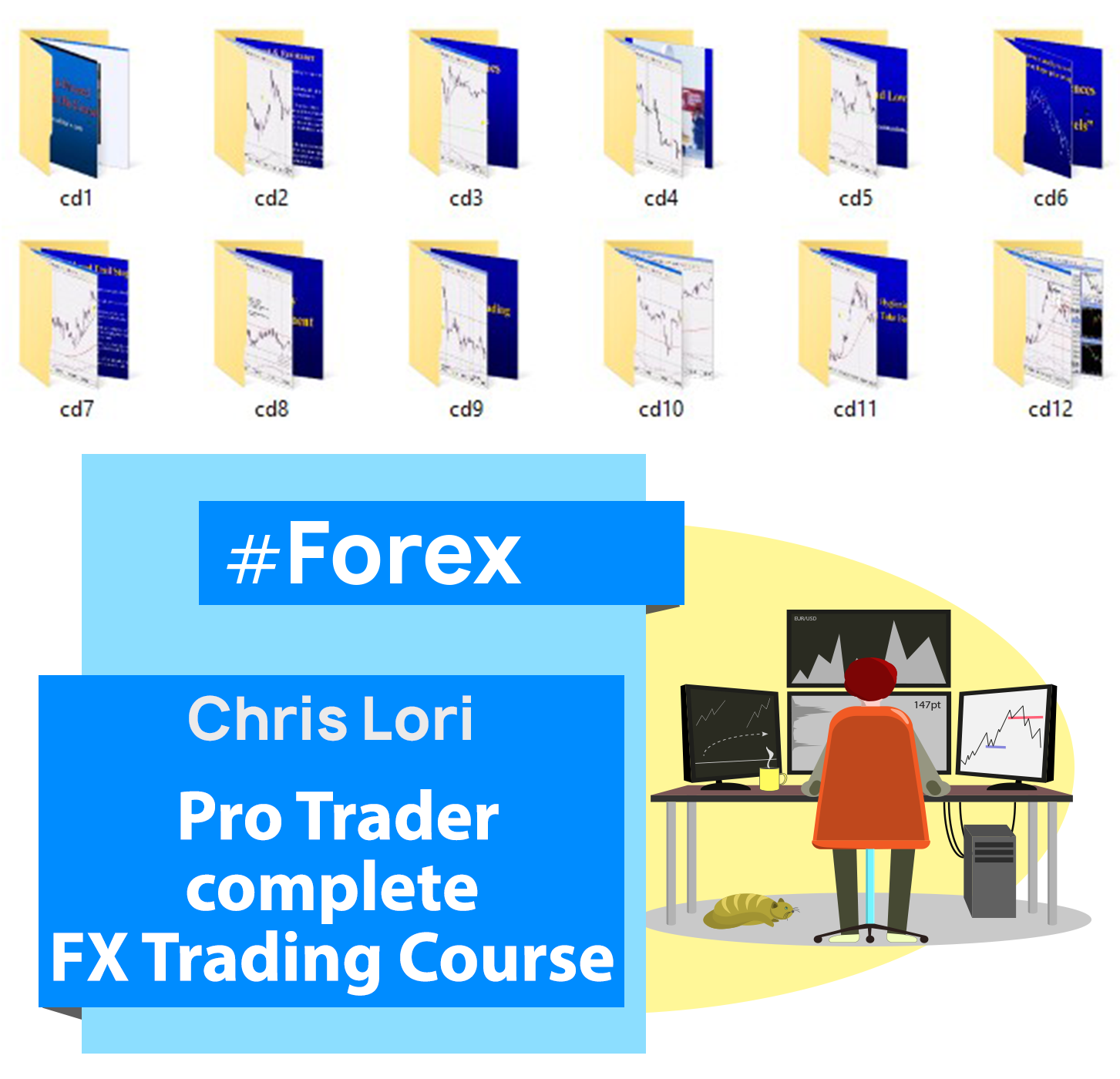 pro trader complete fx course chris lori forex