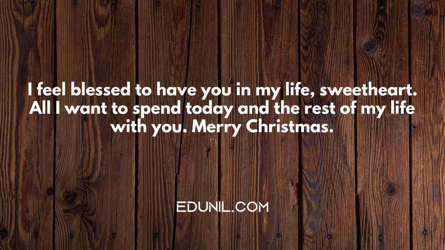 I feel blessed to have you in my life, sweetheart. All I want to spend today and the rest of my life with you. Merry Christmas. - 
