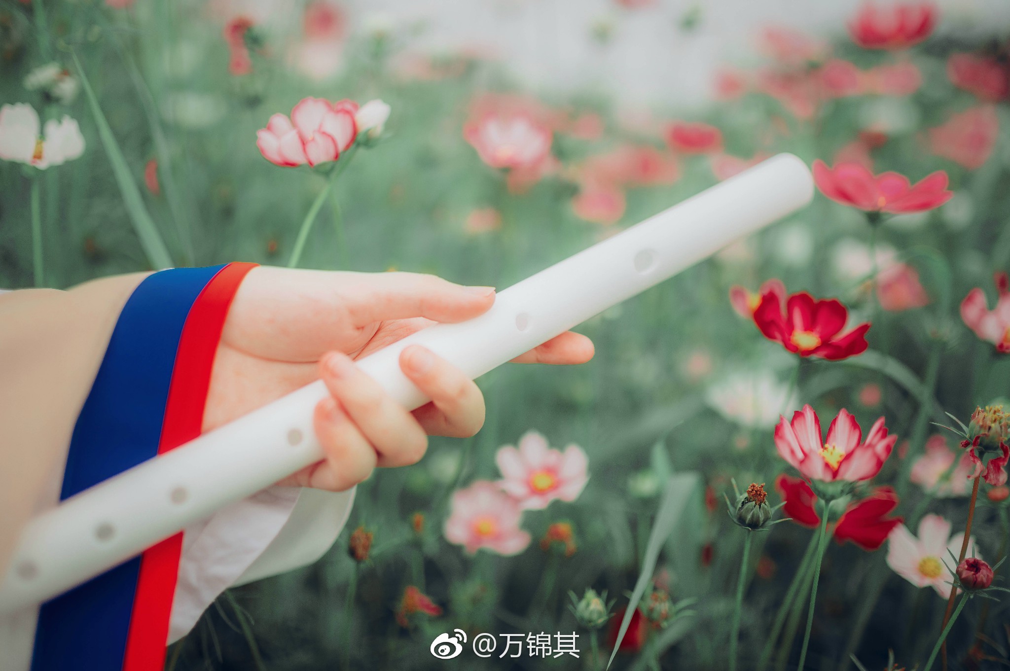 图片[64]-043 迷失幻境系列 – 第043期 [144P-270.79 MB]-六色网