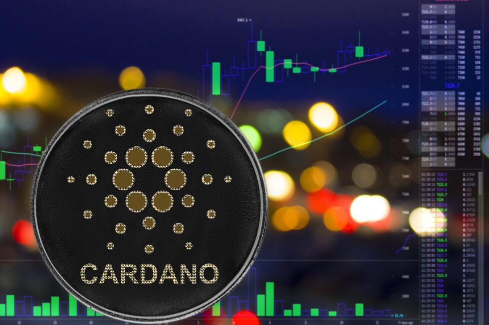 Cardano Testnet 