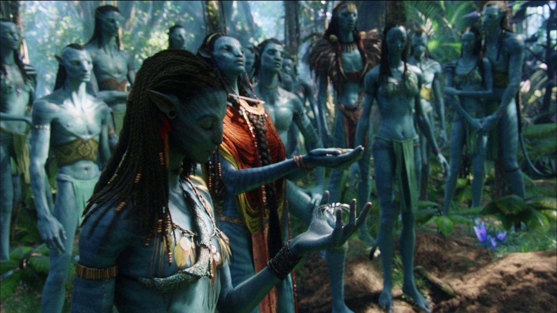 Credits : https://images.app.goo.gl/QJ6Y9rSkGVpFVcj67