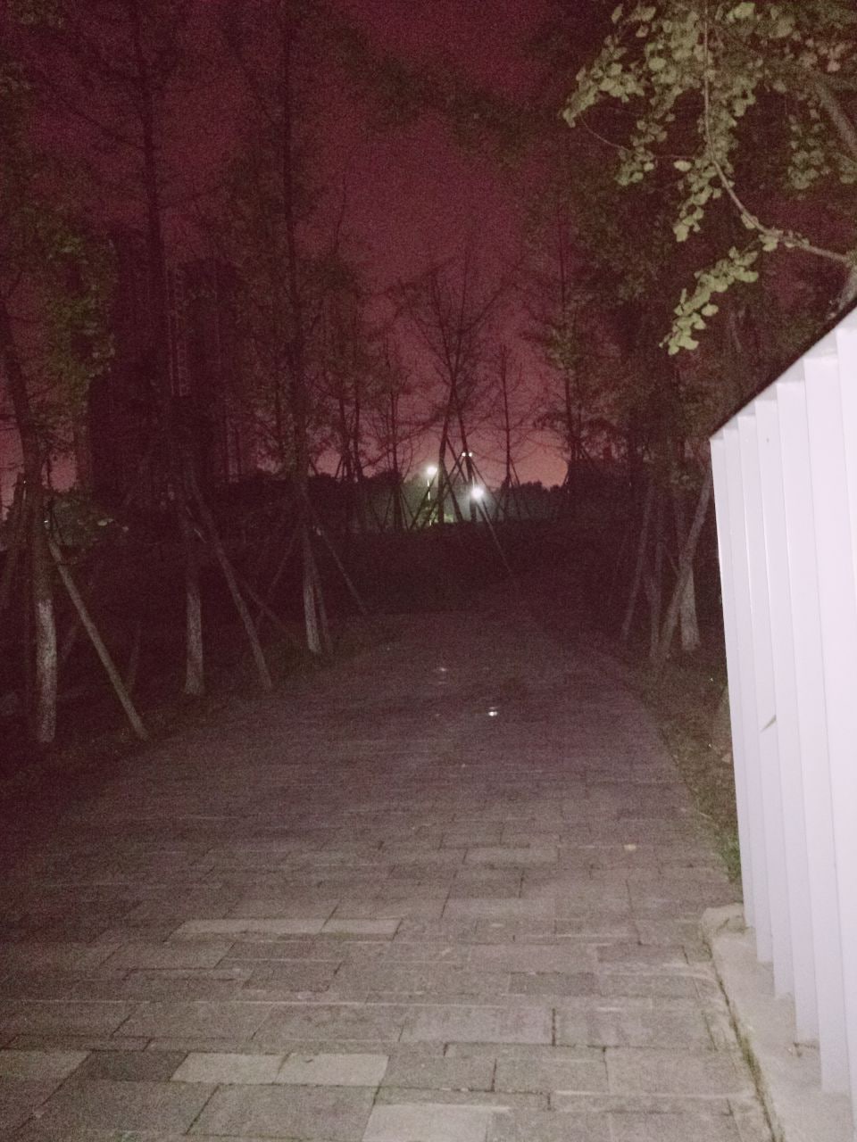 麻酥酥哟-公园夜遇强制XX实录[62P2V] 41