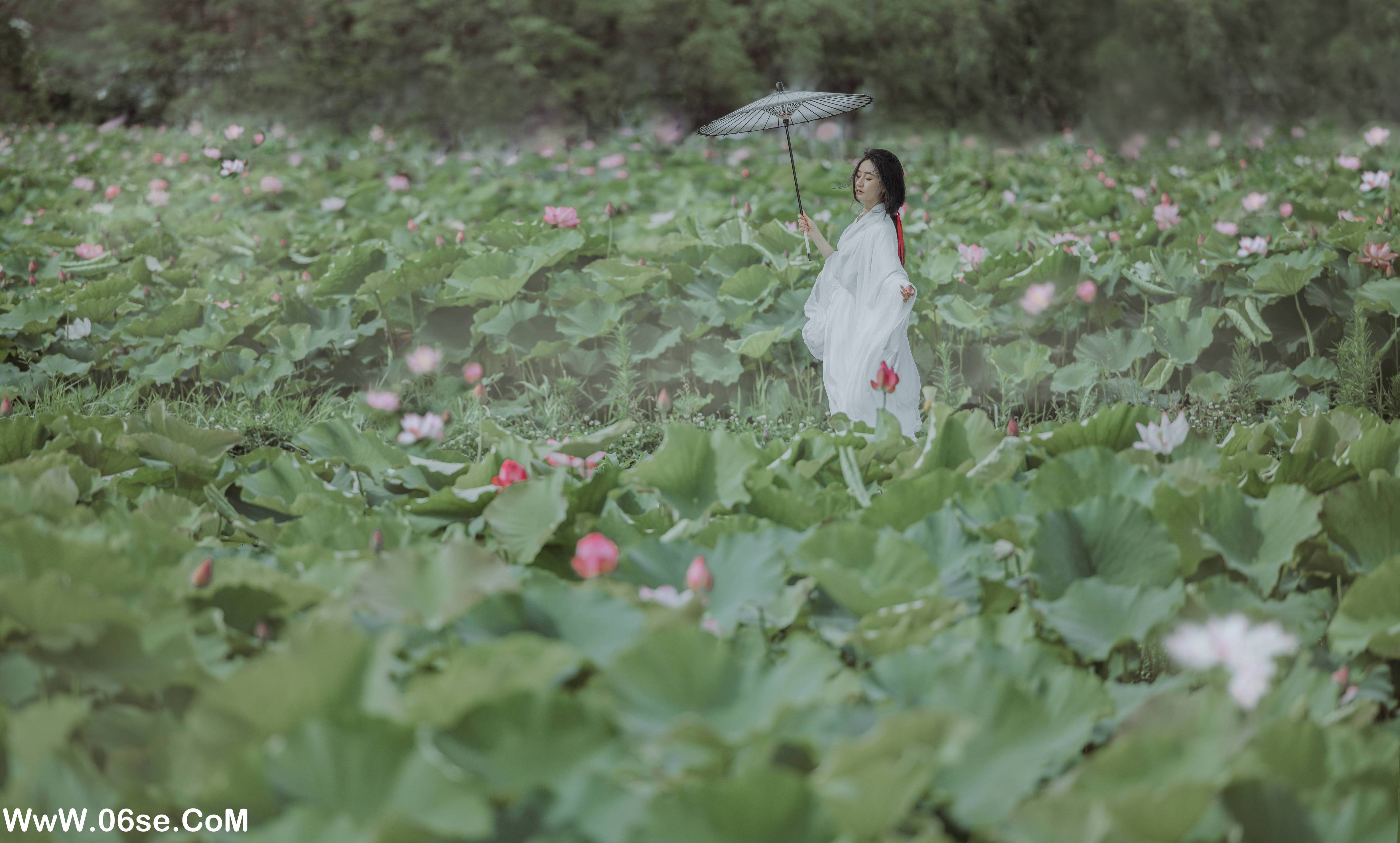 图片[17]-[YITUYU艺图语]2022.08.06 荷花 柒苡安[22+1P／249MB]-六色网
