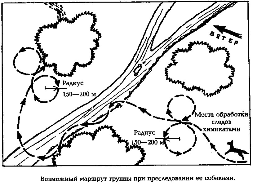 Схема преследования. Уход от преследования собак. Схема преследование. Способы ухода от противника.