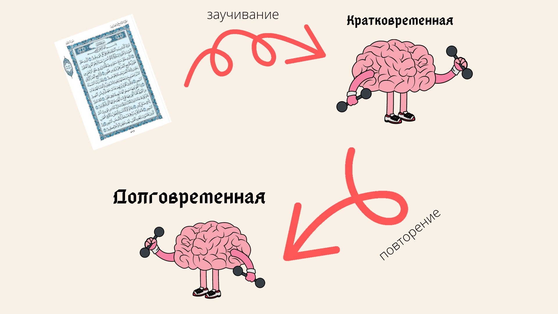 Как выучить страницу Корана за считанные минуты? – Telegraph