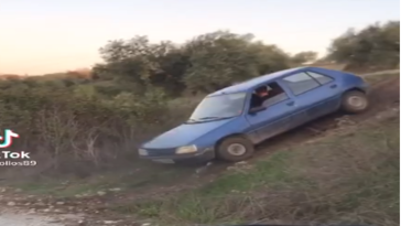 Cuando te la suda el coche