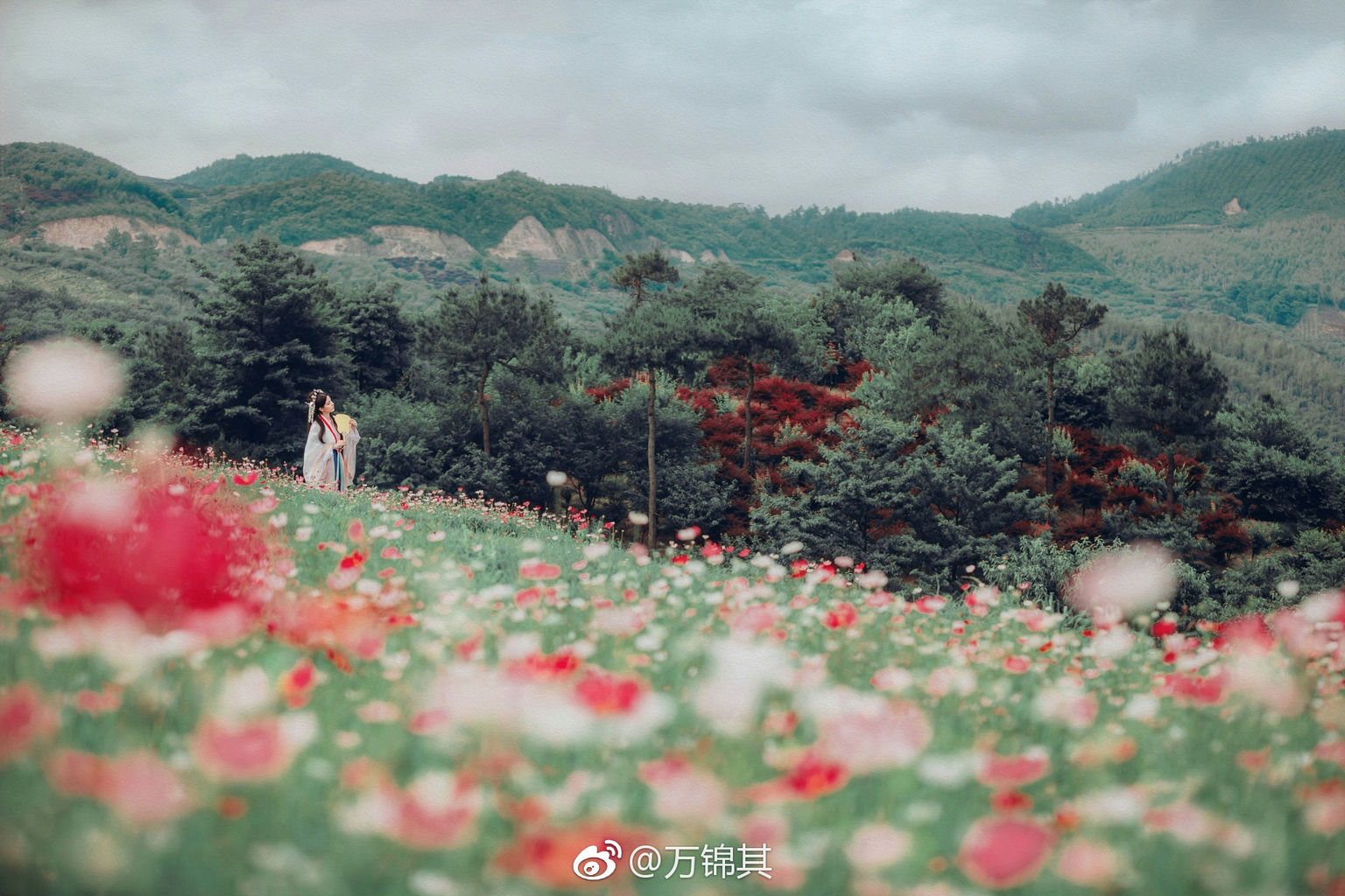 图片[69]-043 迷失幻境系列 – 第043期 [144P-270.79 MB]-六色网