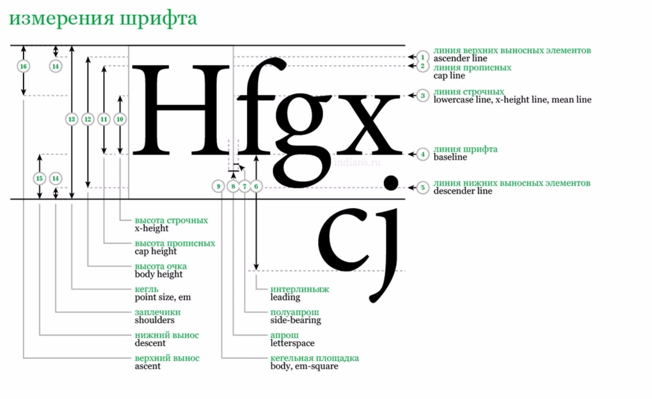 Height em. Характеристики шрифта. Строение шрифта. Шрифты в типографике. Анатомия шрифта.