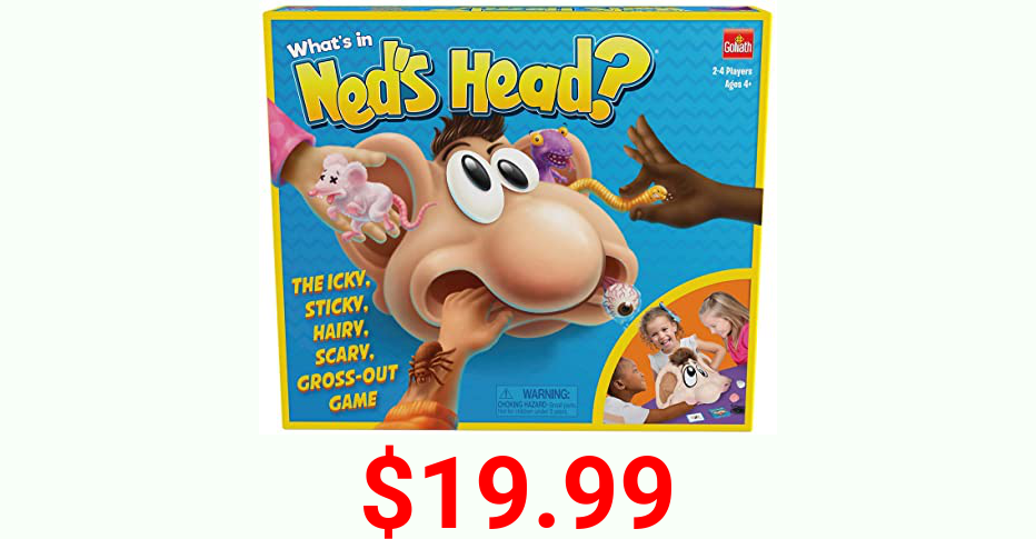 What's in Ned's Head by Goliath (108765)