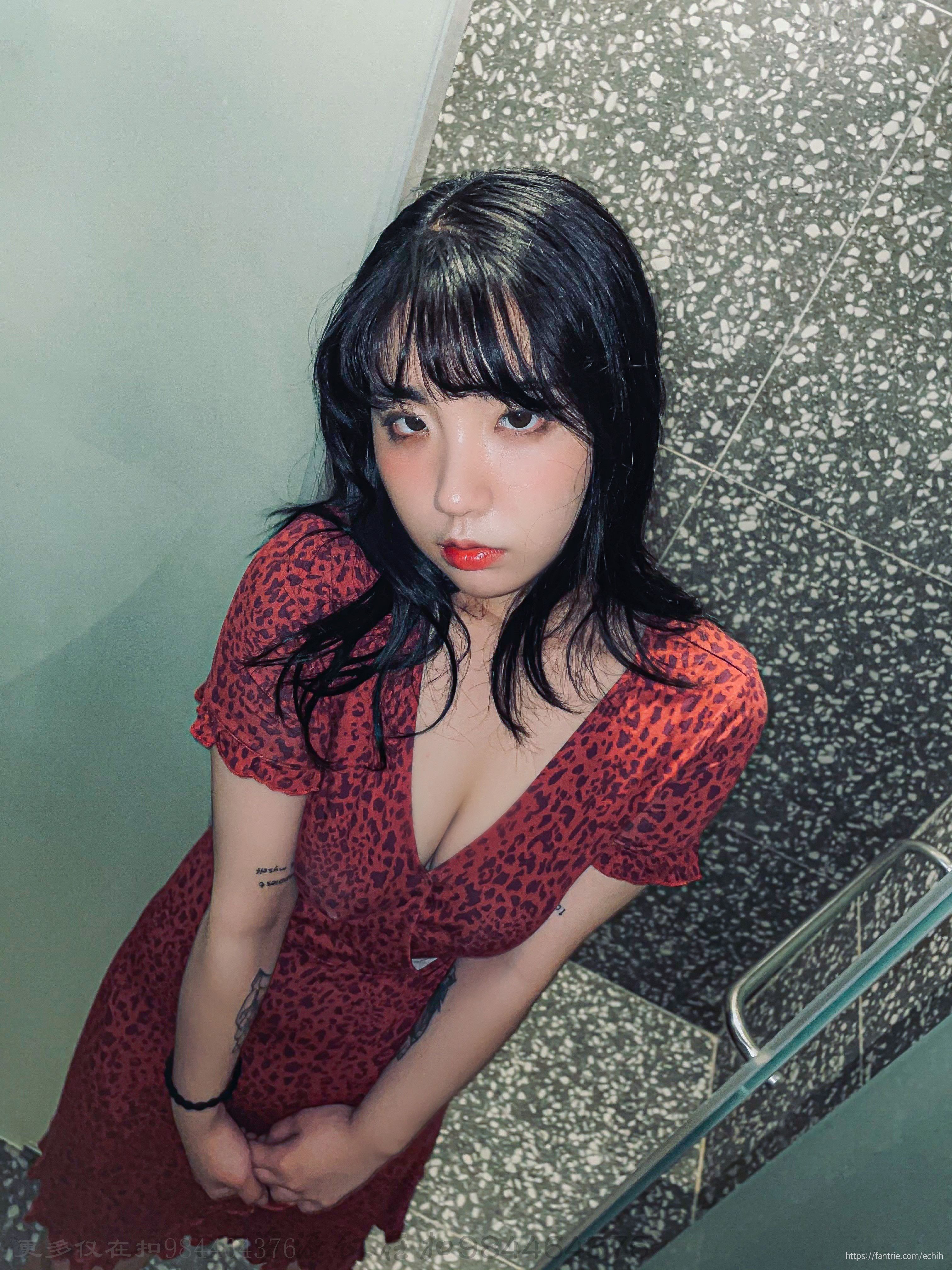 Ech1h-合集[311P72V] 12