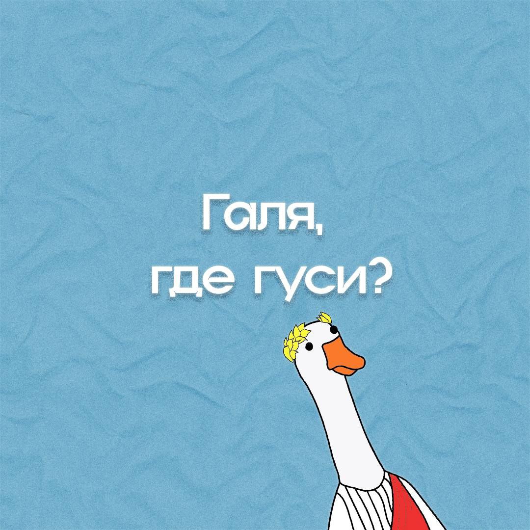 Галя и гуси