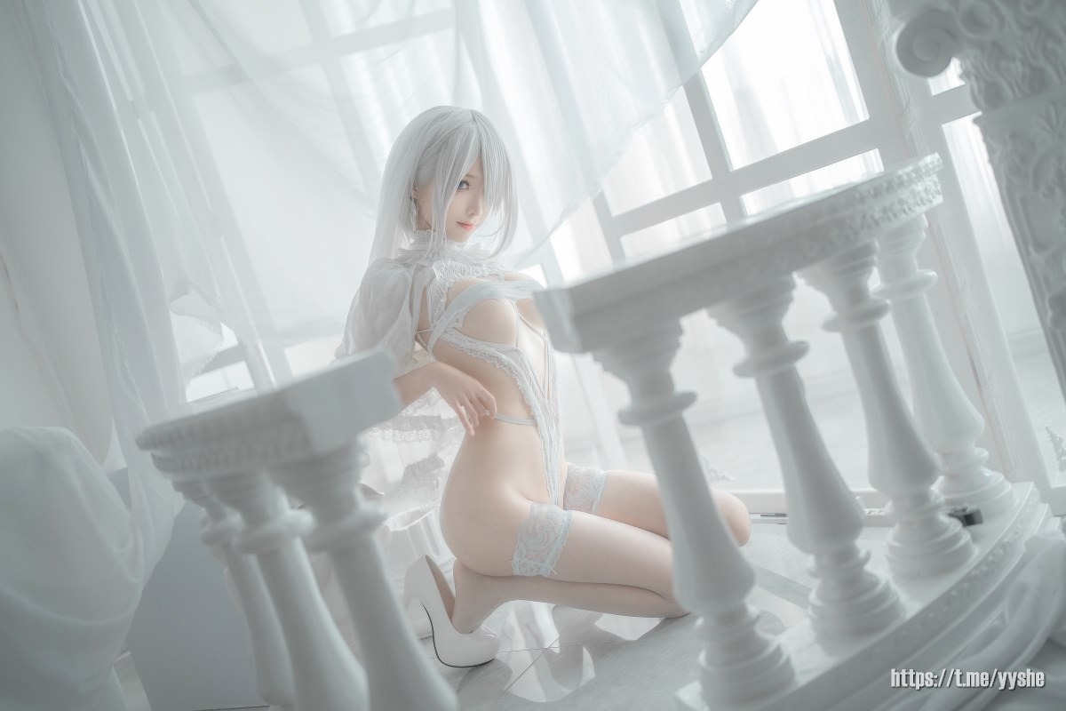 蠢沫沫 - 2B 白婚纱 [59P] 46