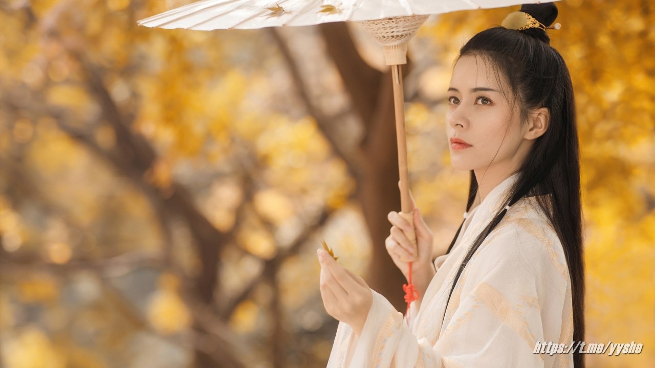 一见倾心五周年4K壁纸 - 国风篇[320P] 3