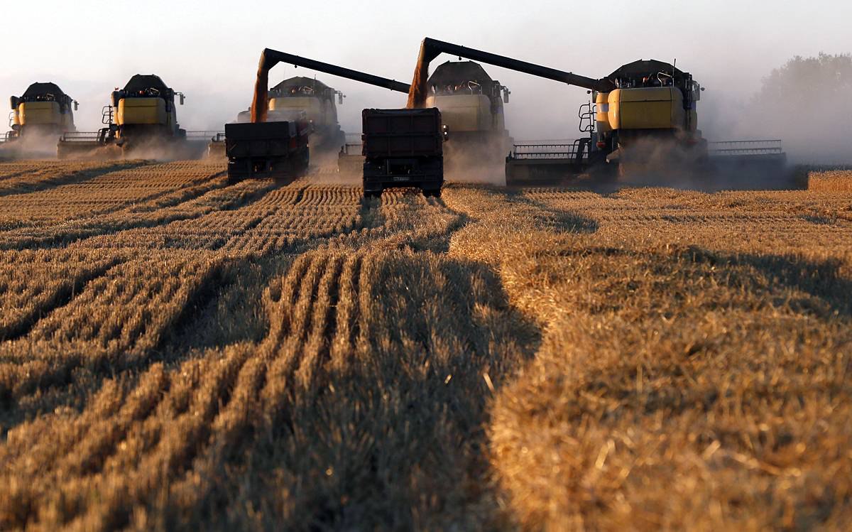 В Башкирии собрали рекордный урожай зерна