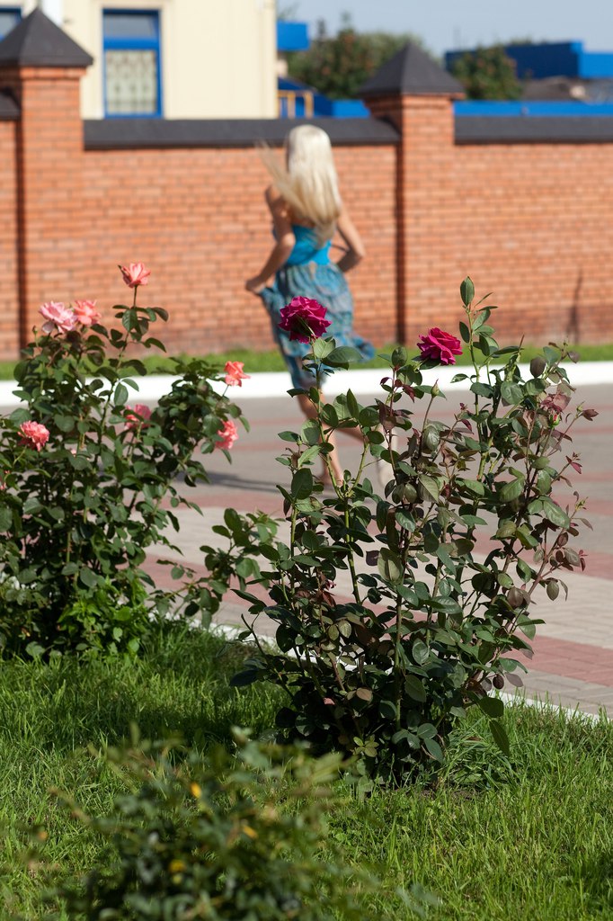 [Image: dcd0b200bfc6632fea424.jpg]
