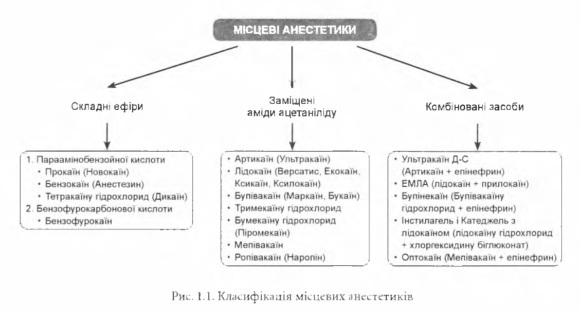 Амидные и эфирные анестетики. Сравнительная характеристика местных анестетиков сложные эфиры.