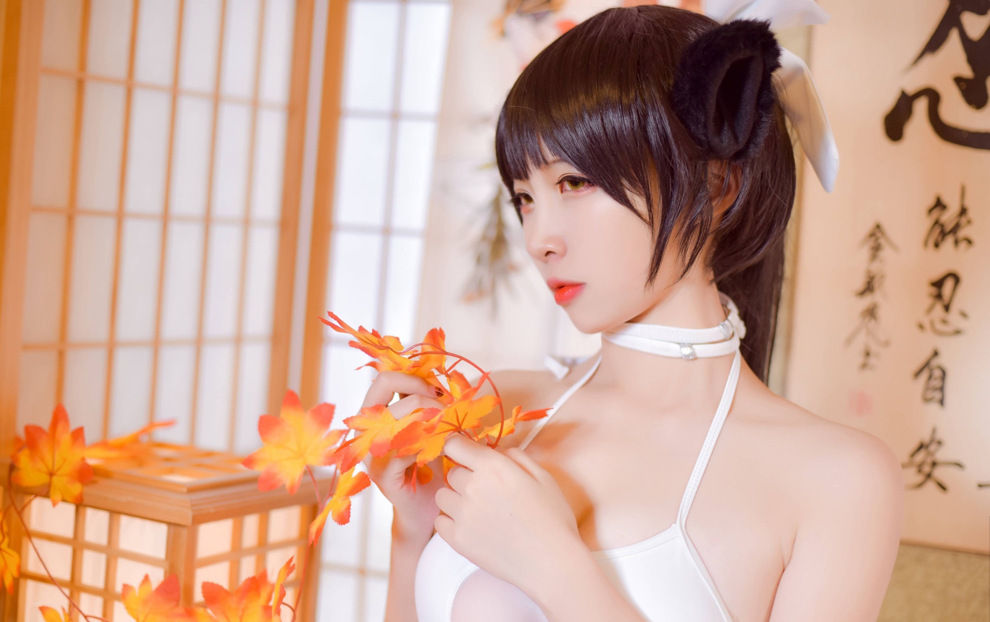 [二佐Nisa] Takao 獒 高雄 (Azur Lane 碧蓝航线) 17