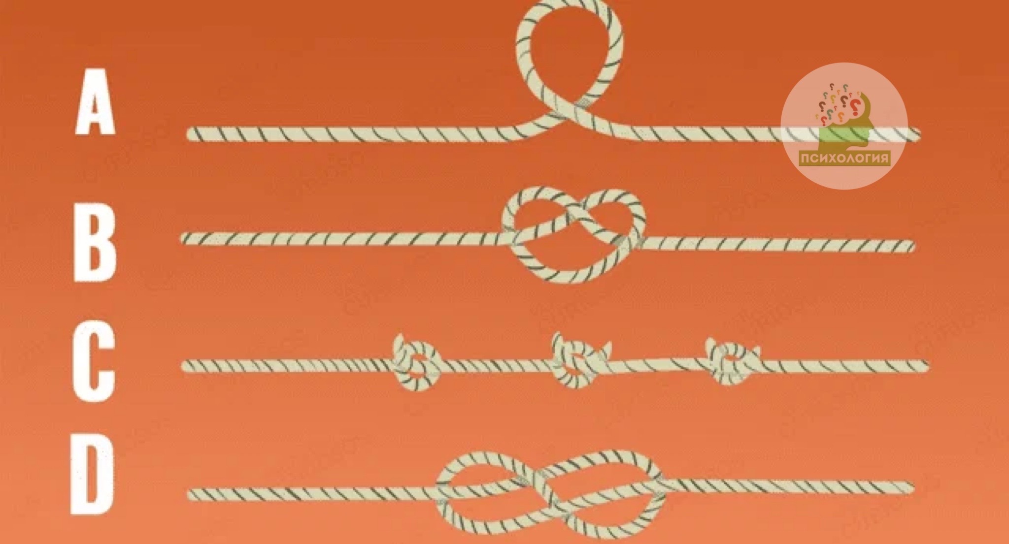 Какая веревка самая длинная? – Telegraph