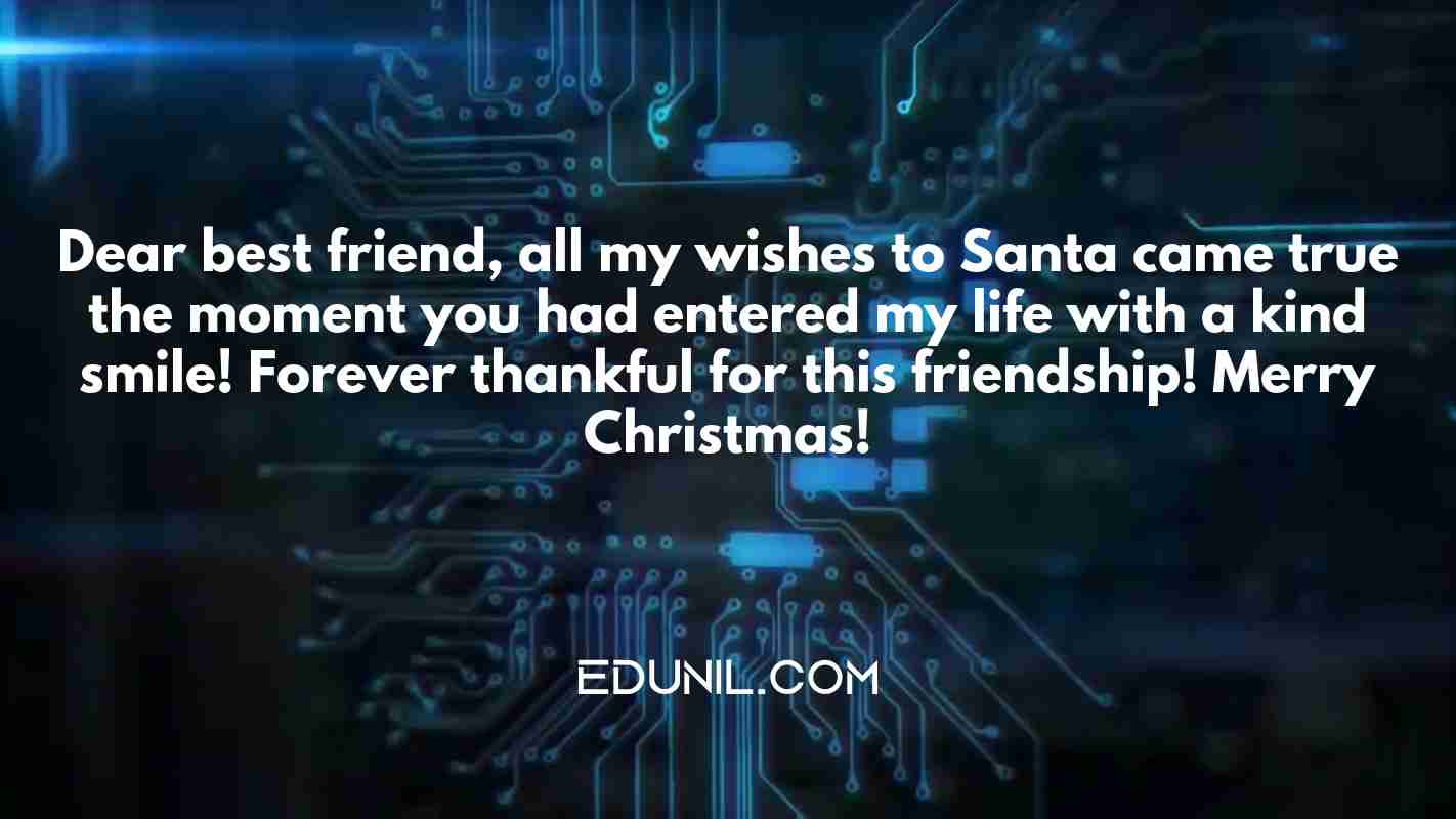 Dear best friend, all my wishes to Santa came true the moment you had entered my life with a kind smile! Forever thankful for this friendship! Merry Christmas! - 
