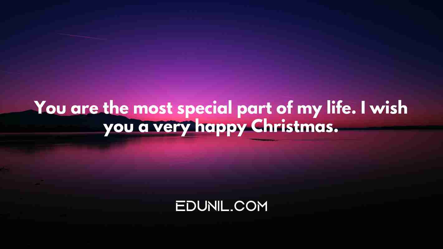 You are the most special part of my life. I wish you a very happy Christmas. - 
