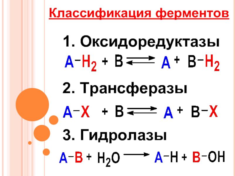 Ферменты реакции примеры