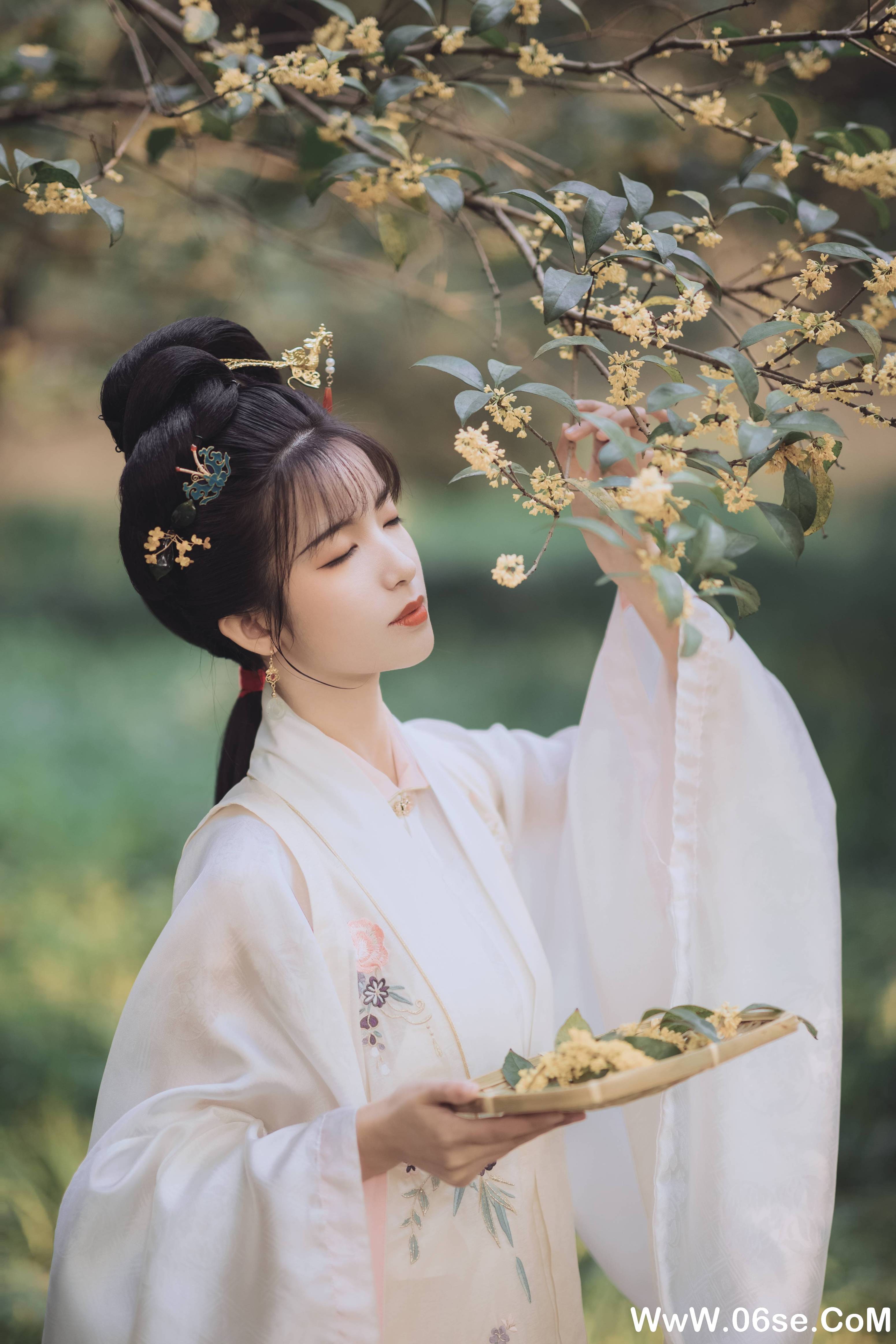 图片[36]-[YITUYU艺图语]2021.11.22 桂花酿 一只阿梦崽[35+1P／307MB]-六色网