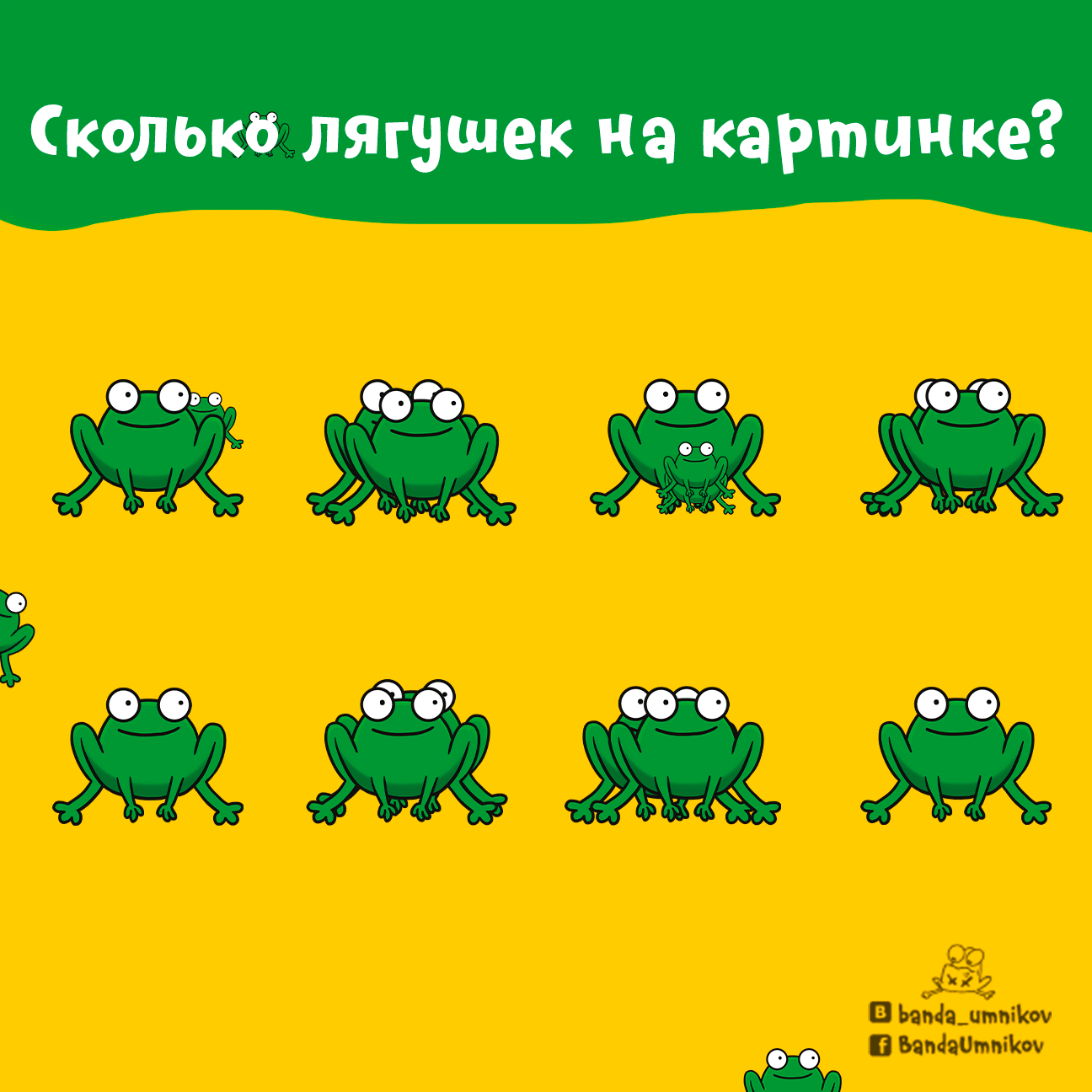 Сколько белок на картинке? ?? – Telegraph