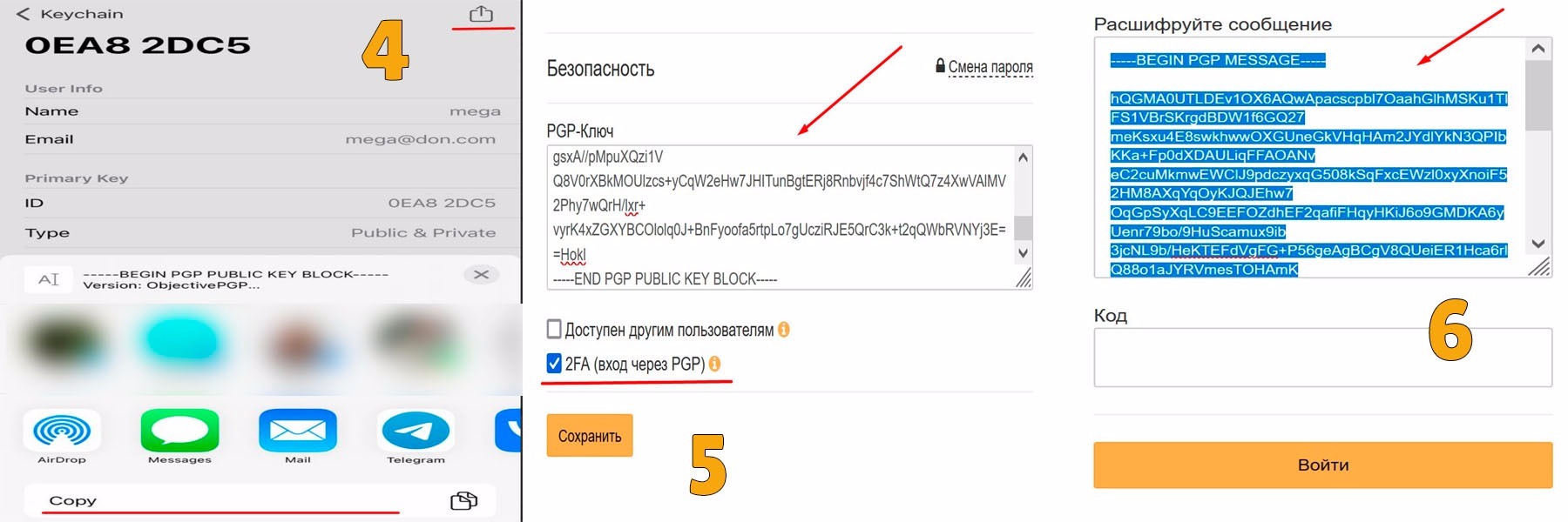 Как защитить свой аккаунт? 2fa по PGP на Mega DM – Telegraph