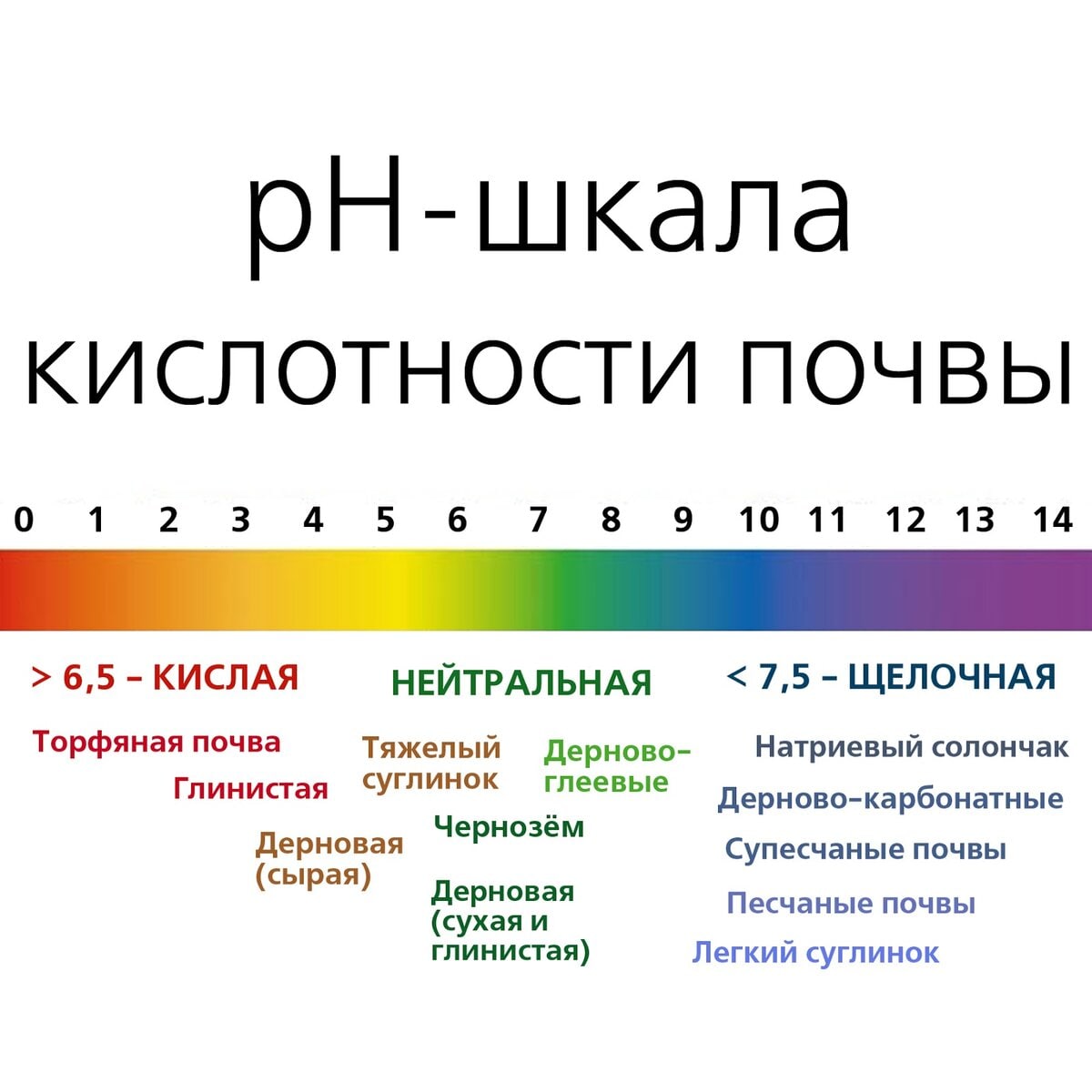 Как определить ph