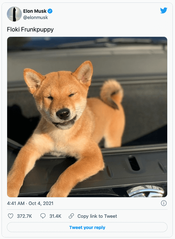 ИNBESTORY #8 – Telegraph