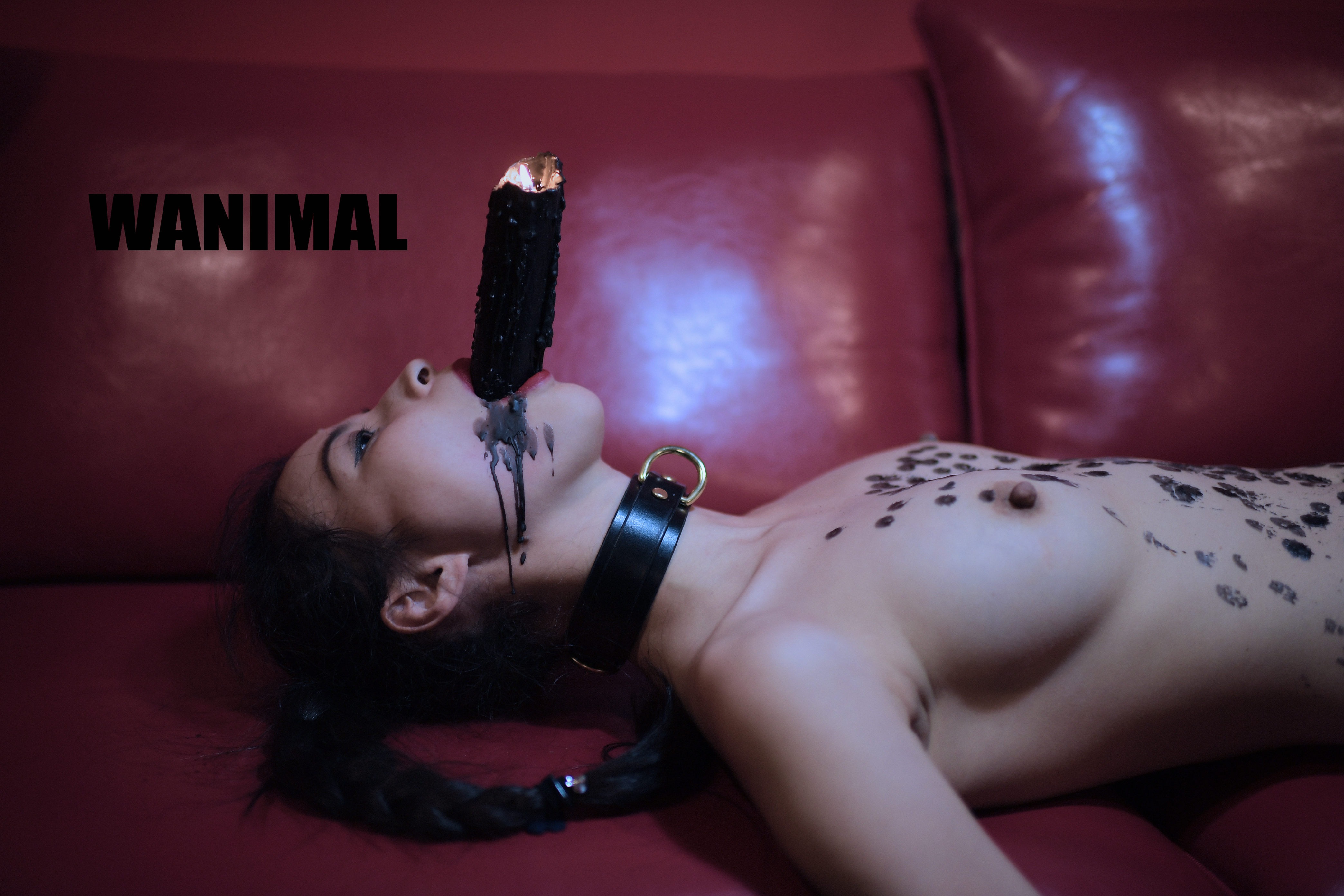 王动WANIMAL - SM绳艺 150P 27