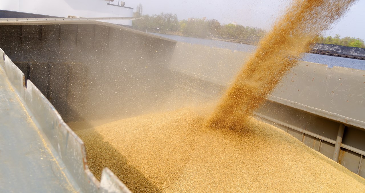 Из порта Крыма в Сирию отправят 250 тыс. тонн зерна